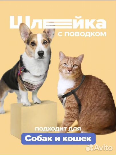 Шлейки для кошек и мелких пород собак