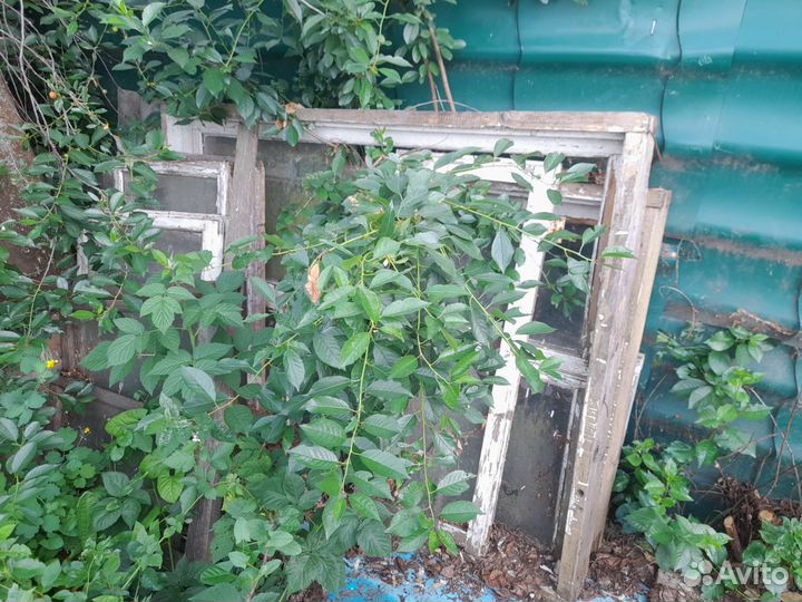 Окна, рамы, стекла