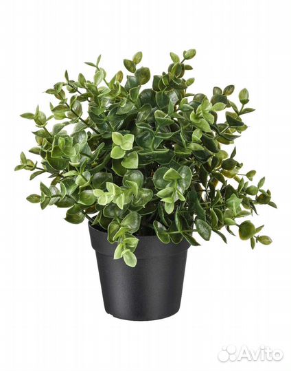 Искусственные цветы от Икеа Fejka 2 шт