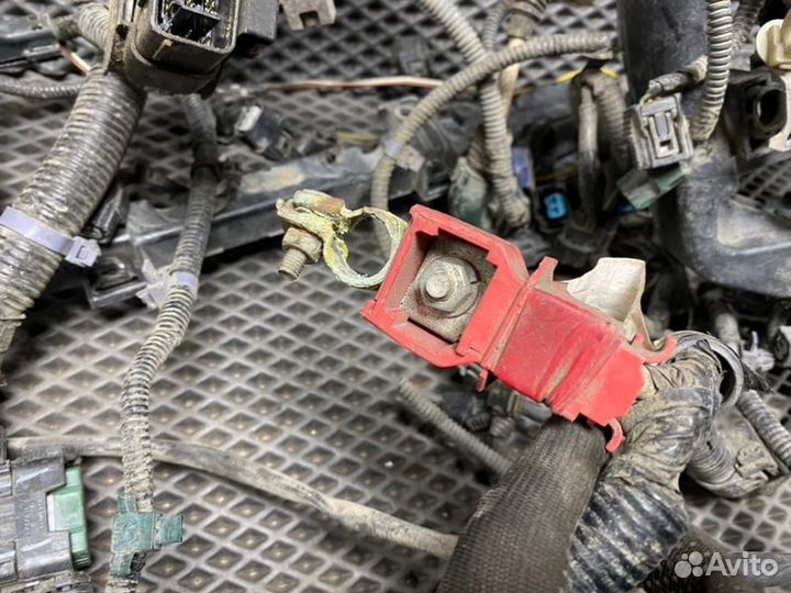 Проводка двигателя Honda Civic FB R18Z1