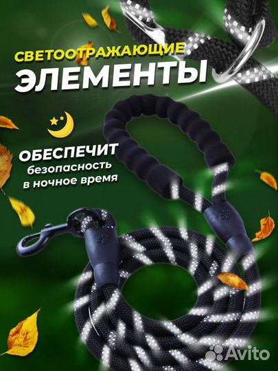 Поводок для собак