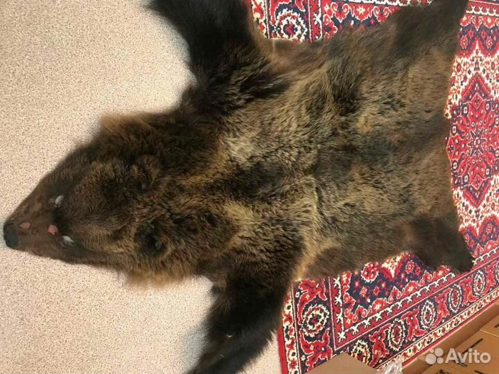 Выделка шкур (свеже соленые)