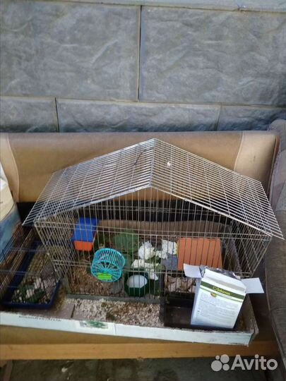 Клетки для грызунов бу