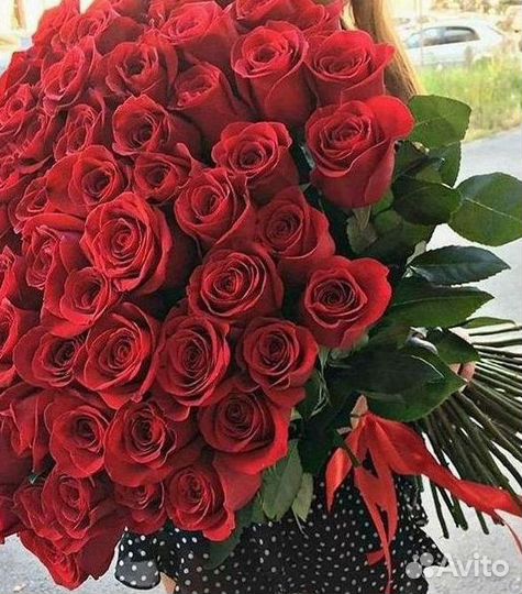 Цветы розы букеты 25 31 35 51 101 251 Доставка