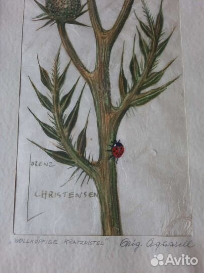 Пара немецких авторских картин с цветами