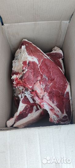 Мясо конина, говядина, баранина