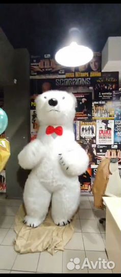 Аэромедведь поздравления