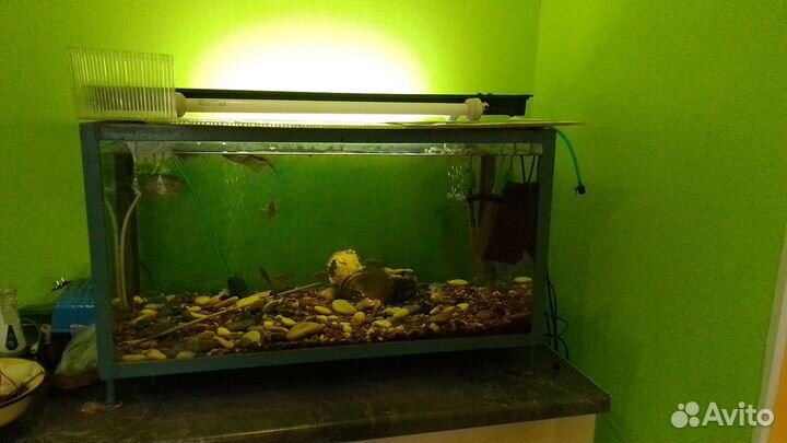 Аквариум продам