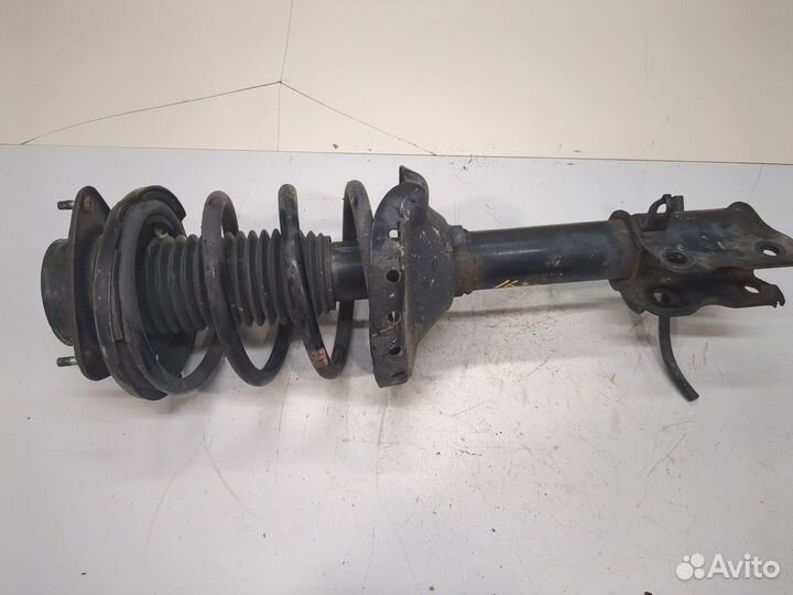 Амортизатор подвески Subaru Tribeca (B9), 2012