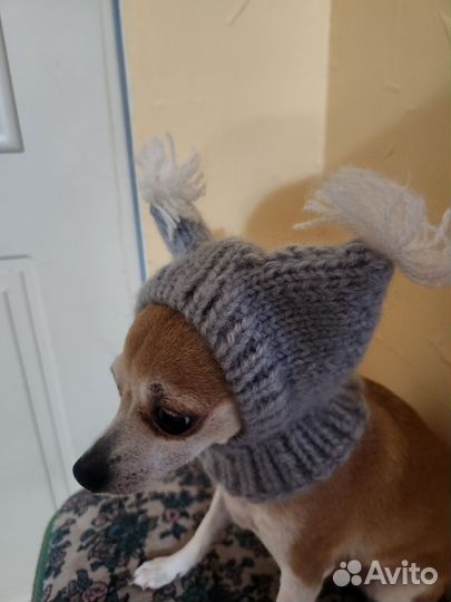 Шапочки для собак