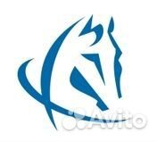 Водитель категории е (новые автомобили)