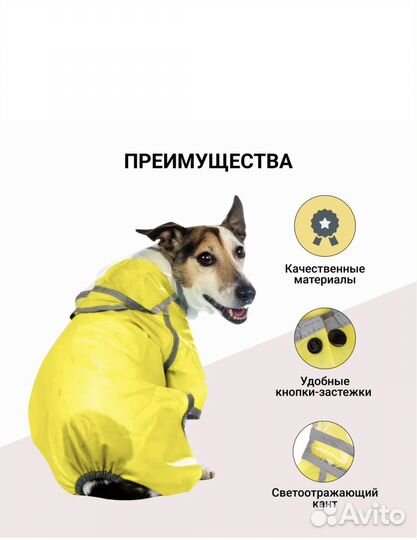 Одежда для собак дождевик