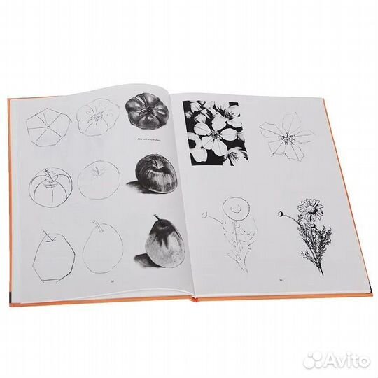 Искусство рисунка. Учебник для начинающих художник