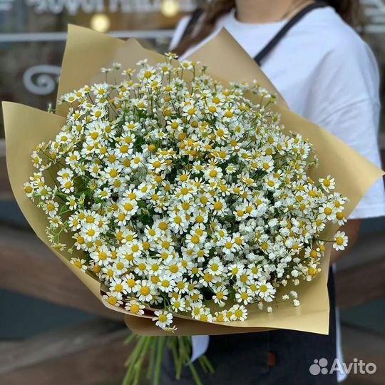 Букет из ромашек 11 21 31 41 51