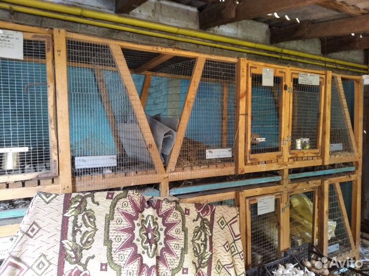 Клетка для кролика