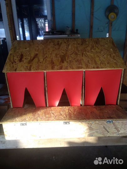 Гнездо для кур с яйцесборником