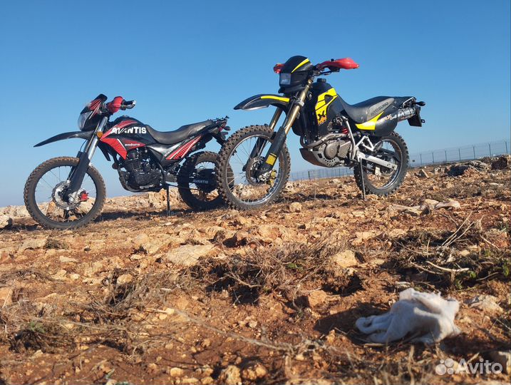 Avantis MT250