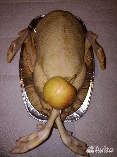 Индоутки на мясо