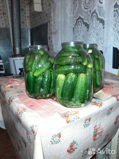 Соленья домашние огурчики помидоры