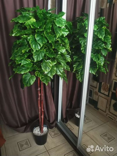 Искусственное дерево, интерьерное дерево