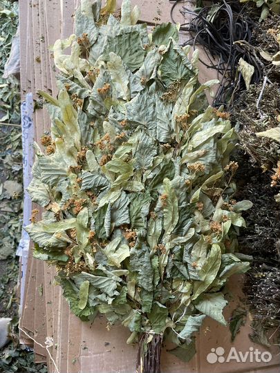 Банные веники,травы