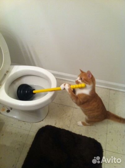 Сантехник. 24/7