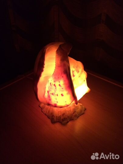 Светильник ракушка