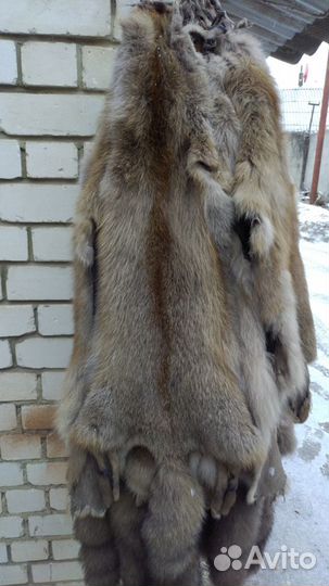 Шкурки лисы