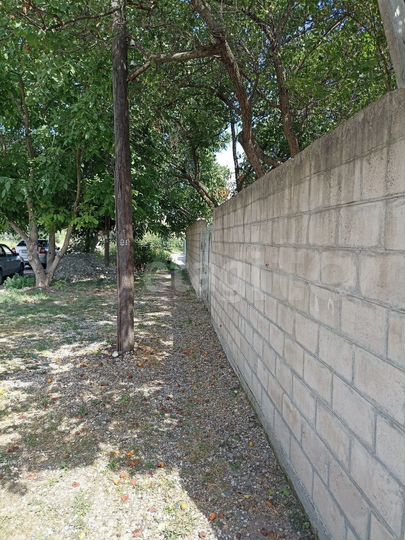 Дом 55,1 м² на участке 12 сот.