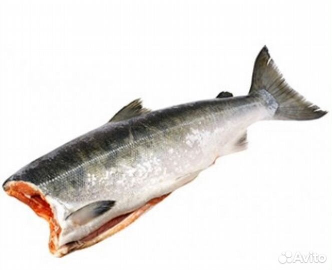 Кижуч пбг свежемороженный Рыба Икра Доставка