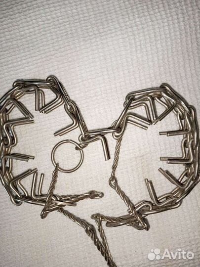 Амуниция для собак