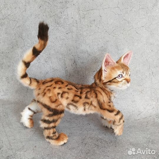 Бенгальский котенок ручной работы