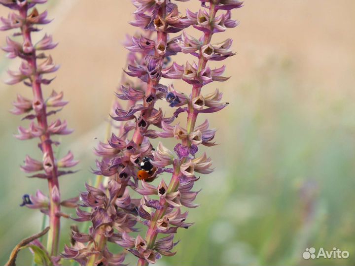 Цифровой фотоаппарат fujifilm finepix hs20exr