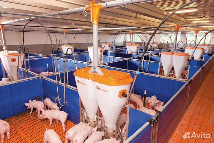 Оператор свинокомплекса (Вахта)