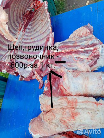 Мясо баранина