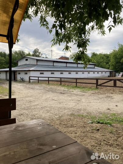 Постой в конюшне, аренда денника