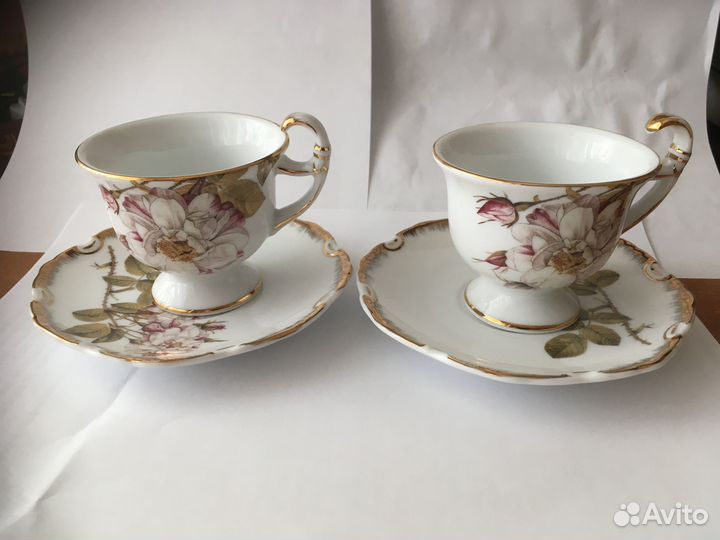 Кофейная параRoyal Porcelain Collection Briswild