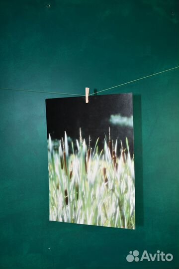 Постеры для интерьера. Лес