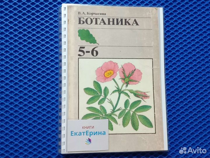 Ботаника 5-6 класс 3 учебника