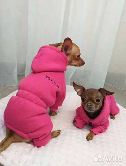 Комбинезон для маленькой собаки