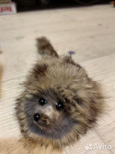 Игрушки для кошек