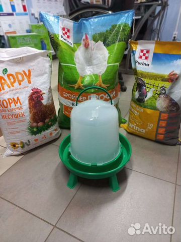 Кормушки и поилки для домашних птиц