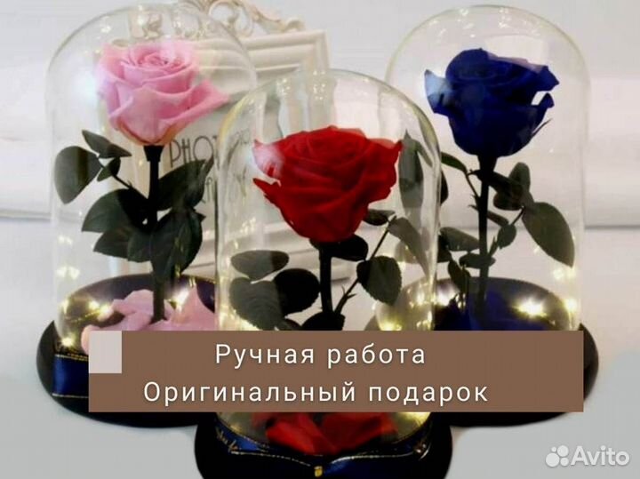 Роза в колбе. С гарантией