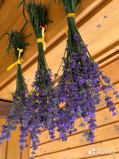 Свежесрезанные букетики лаванды