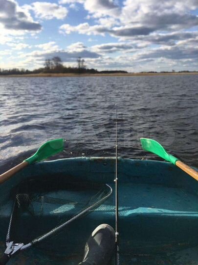 Участок 65 сот. (СНТ, ДНП)