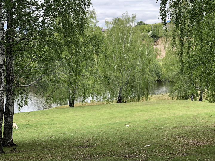 Участок 35 сот. (ИЖС)