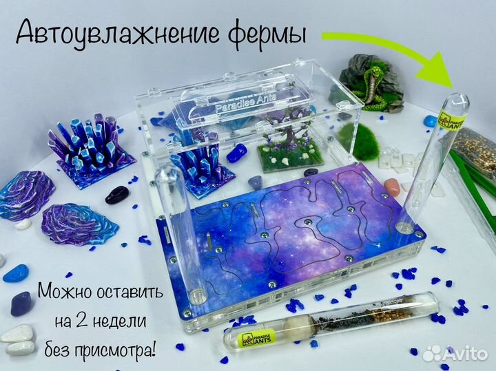 Муравьиная ферма