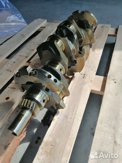 Вал коленчатый 245.9-1005015-24