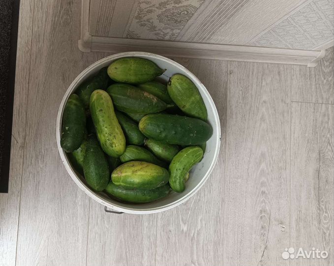 Огурцы свежие домашние