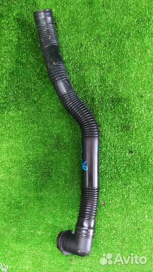 Патрубок воздушного фильтра Audi A6 C5 ASN